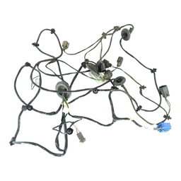 Chicote Lanterna Traseira Ford Focus Hatch 2000 A 2008