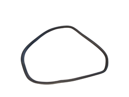 BORRACHA PORTA TRASEIRA ESQUERDA (CARROCERIA) AGILE 10 A 14