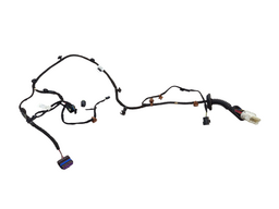 CHICOTE PORTA TRASEIRA DIREITA HAVAL 2023/2024 