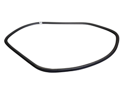 BORRACHA PORTA TRASEIRA ESQUERDA (CARROCERIA) HAVAL H6 2024/