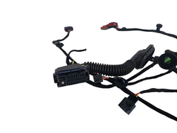 CHICOTE PORTA DIANTEIRA ESQUERDA HAVAL 1.5 H6 2024