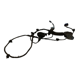 Chicote Porta Traseira Esquerda Dolphin Mini 2024 A 2026