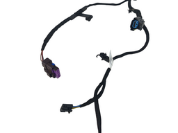 CHICOTE PORTA TRASEIRA ESQUERDA HAVAL H6 2023/2025