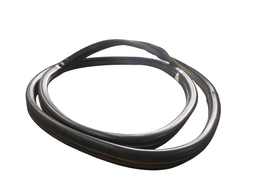 BORRACHA PORTA TRASEIRA ESQUERDA (CARROCERIA) S10 96 A 2011