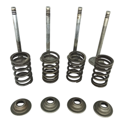 JOGO MOLAS VALVULAS PRATOS CABEÇOTE VW FUSCA KOMBI 1600