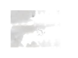 PORTA LATERAL DIREITA BERLINGO 2002/2005