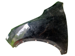 PARALAMA ESQUERDO VERA CRUZ 2007 A 2012