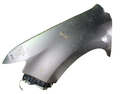 PARALAMA ESQUERDO EDGE 2009 2010 A 2014