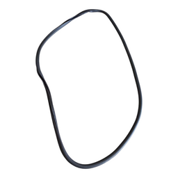 Borracha Porta Traseira Esquerda (Carroceria) Rampage 2024/.