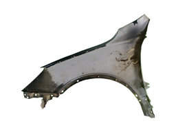 PARALAMA DIREITO VERA CRUZ 2007 2008 A 2012