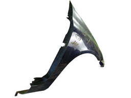 PARALAMA LADO DIREITO CLIO 2004 2005 A 2012