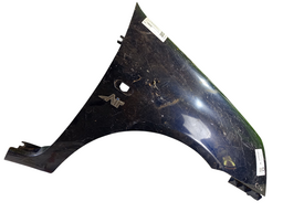 Paralama Lado Direito Clio 2004 2005 a 2012