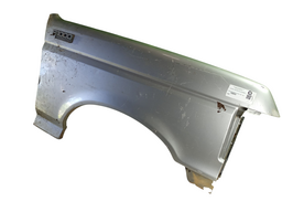 PARALAMA DIREITO F4000 / F1000 1980 1981 A 1992