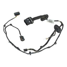 Chicote Porta Traseira Direita Focus 2014 a 2019 F1FT14240