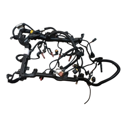 Chicote Motor Toro 2.0 Freedom 2017 A 2021