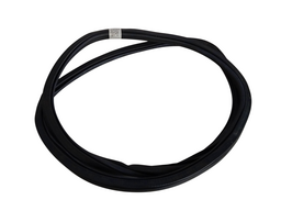 BORRACHA PORTA TRASEIRA DIREITA (CARROCERIA) POLO NIVUS 18/