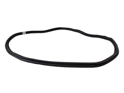 BORRACHA PORTA TRASEIRA DIREITA (CARROCERIA) POLO NIVUS 18/