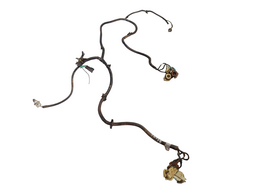 CHICOTE DA LANTERNAS DIANTEIRA LD/LE S10 2001/2011