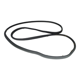 BORRACHA PORTA DIANTEIRA ESQUERDA FOCUS BM51A20709 14 A 19