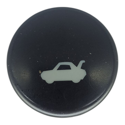 BOTAO PORTA MALAS FIESTA ECOSPORT 03 A 14 AS6519B514AA