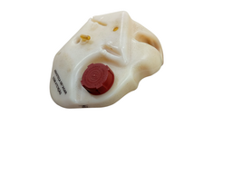 Reservatorio De Partida A Frio Gol Saveiro 2009 A 2018