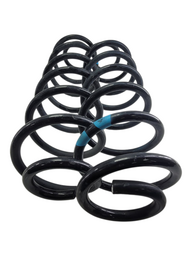 Par Molas Traseira Ford Ecosport 1.5 2013 2021 Original