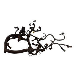 Chicote Injeção Agile 1.4 2010 A 2014