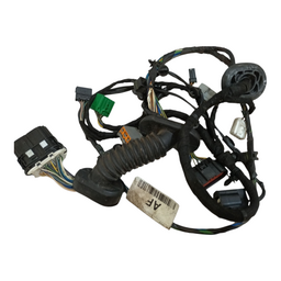 Chicote Porta Dianteira Esquerda Ecosport 2013 A 2014