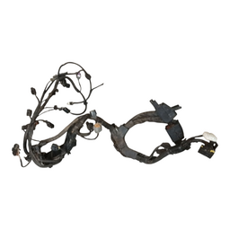 Chicote Motor Elantra 2.0 Flex 2012 A 2018