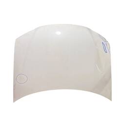 Capô Dianteiro Palio Siena Strada 2008 2009 a 2020