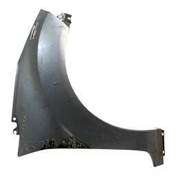 PARALAMA DIREITO NEW FIESTA NACIONAL 2012 A 2019