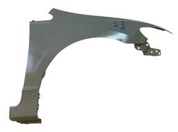 PARALAMA DIREITO CIVIC 2007 (NOVO)