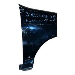 PARALAMA DIREITO PALIO 04/17 SIENA 05/12