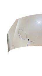 CAPÔ DIANTEIRO C3 2013 A 2020 DS3 2012 A 2017 PRA RECUPERAR 