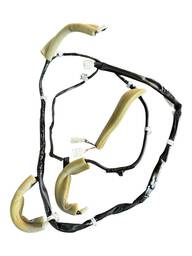 CHICOTE LUZ TETO SENTRA 2017 A 2020 240605D1C ORIGINAL