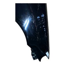 PARALAMA DIREITO PALIO 04/17 SIENA 05/12