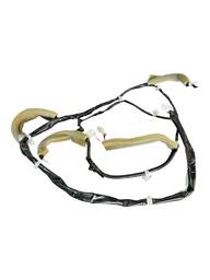 CHICOTE LUZ TETO SENTRA 2017 A 2020 240605D1C ORIGINAL