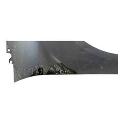 PARALAMA DIREITO NEW FIESTA NACIONAL 2012 A 2019