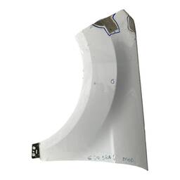 Paralama Esquerdo Ecosport 2013 a 2021