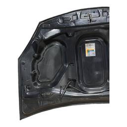 CAPÔ DIANTEIRO SANDERO 2008 A 2014