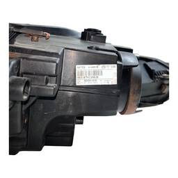 FAROL DIREITO POLO 2023 2024 2025/..