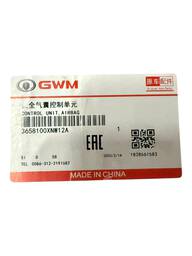 MÓDULO AIRBAG GWM ORA GT03 2024 2025