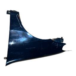 Paralama Esquerdo Palio 04/17 Siena 05/12