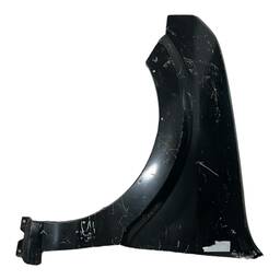 Paralama Esquerdo Ecosport 2008 a 2012