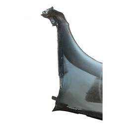 PARALAMA DIREITO PALIO 04/17 SIENA 05/12