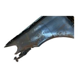 PARALAMA DIREITO PALIO 04/17 SIENA 05/12