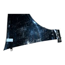 PARALAMA DIREITO PALIO 04/17 SIENA 05/12