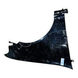 PARALAMA DIREITO PALIO 04/17 SIENA 05/12