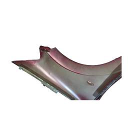 PARALAMA ESQUERDO C3 2003 A 2012