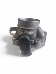 CORPO BORBOLETA FIESTA